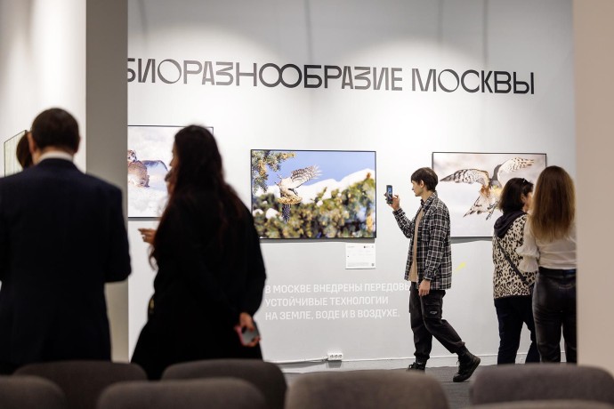 «Активные граждане» выбрали победителей фотоконкурса «Дикая природа Москвы»