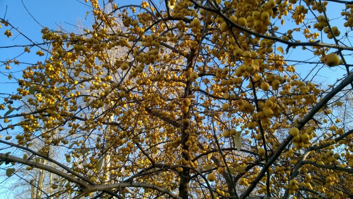 В Башкирии погода готовит радостный сюрприз