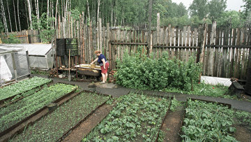 ВС защитил права наследника на незарегистрированный в ЕГРН садовый участок — ВС