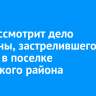 Суд рассмотрит дело мужчины, застрелившего собаку в поселке Иркутского района