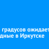 До +26 градусов ожидается в выходные в Иркутске