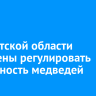 В Иркутской области намерены регулировать численность медведей