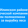 В Усть-Илимском районе с коммерческой компании взыскали полмиллиона рублей за вырубку леса