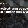 В Омской области во время пожара погибли трое мужчин