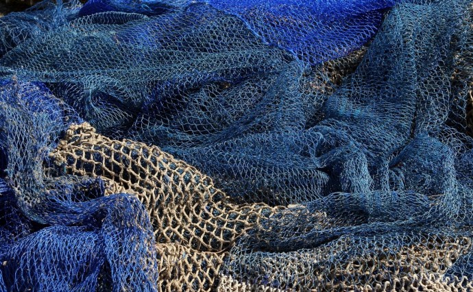 На Сахалине задержан браконьер с уловом более 50 экземпляров кеты