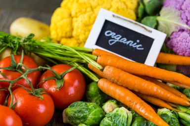 Германия — Био рвется в топ