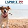 МЧС России планирует запретить отдыхающим брать с собой животных на пляж