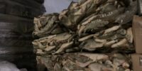 В Астрахани предпринимателя судят за хранение 9,5 тонн немаркированной рыбы