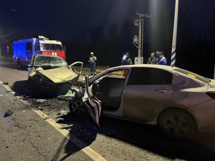 Жуткое ДТП в Пензенской области: в лобовом столкновении машин погибли три человека