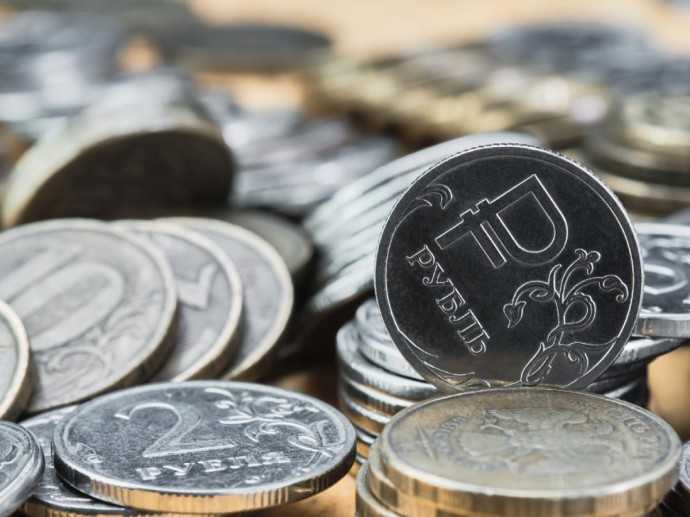 Деньги не туда: Новгородские депутаты предлагают вернуть налоги самозанятых в регион