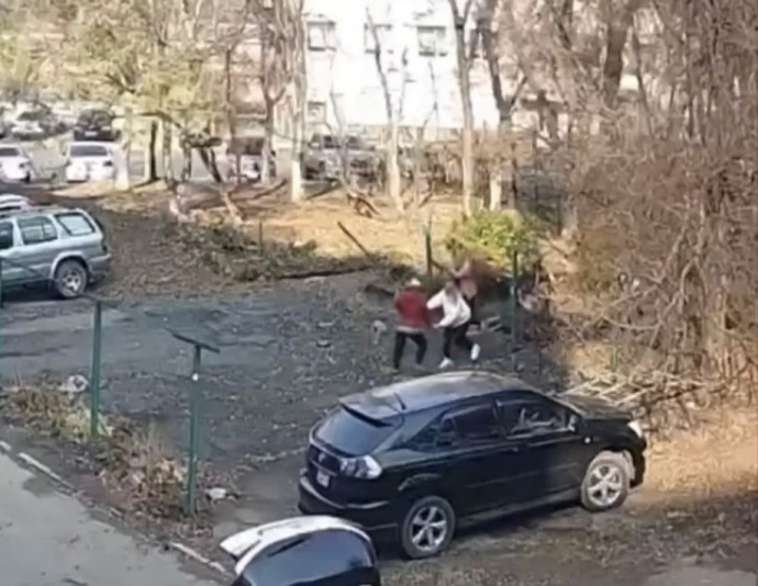 Пенсионерка с бревном напала на соседок в центре Владивостока Пенсионерка с бревном напала на соседок в центре Владивостока