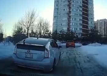 В Благовещенске наказали мужчину, стрелявшего из авто