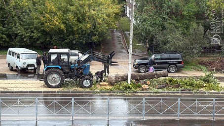 В Улан-Удэ объяснили вырубку деревьев на улице Пушкина