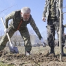 Александр Балберов вместе в венёвцами занимался посадкой деревьев на городском субботнике
