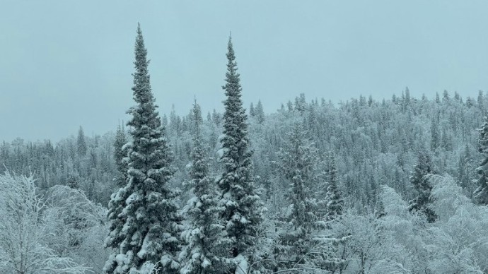 Сильные морозы и оттепели: в Башкирии удивили прогнозом на декабрь и январь