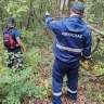«Рекорд» по потерявшимся грибникам установлен в Приамурье