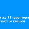 В Иркутске 43 территории обработают от клещей