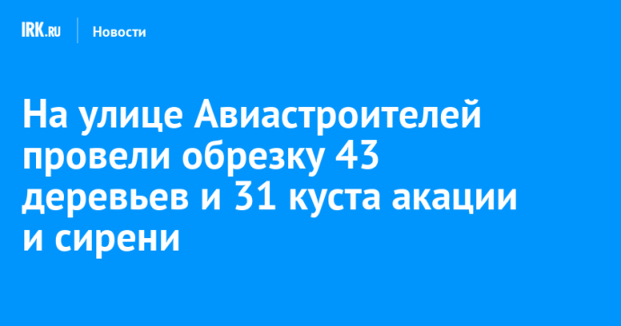На улице Авиастроителей провели обрезку 43 деревьев и 31 куста акации и сирени На улице Авиастроителей провели обрезку 43 деревьев и 31 куста акации и сирени