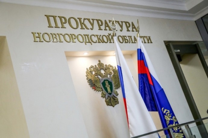 В Пестовском округе при валке леса погиб мужчина