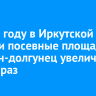В 2025 году в Иркутской области посевные площади под лен-долгунец увеличили в семь раз