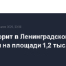 Ангар горит в Ленинградской области на площади 1,2 тыс. кв. метров