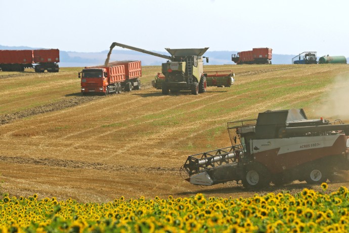 ЦБ: свыше половины всех кредитов в АПК выданы в рамках льготных программ ЦБ: свыше половины всех кредитов в АПК выданы в рамках льготных программ
