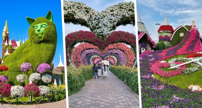Как развлечься в Дубае кроме моря: погружаемся в мир цветов в Dubai Miracle Garden Как развлечься в Дубае кроме моря: погружаемся в мир цветов в Dubai Miracle Garden