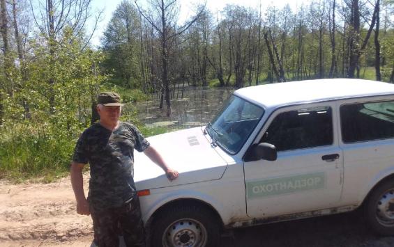 В Курской области выявили незаконную ловушку на бобров и американскую норку