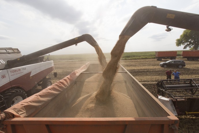 В СФ заявили, что агропром стал лидером по росту инвестиций в России В СФ заявили, что агропром стал лидером по росту инвестиций в России