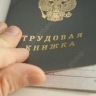 Почти 70% клиентов службы трудоустройства - женщины