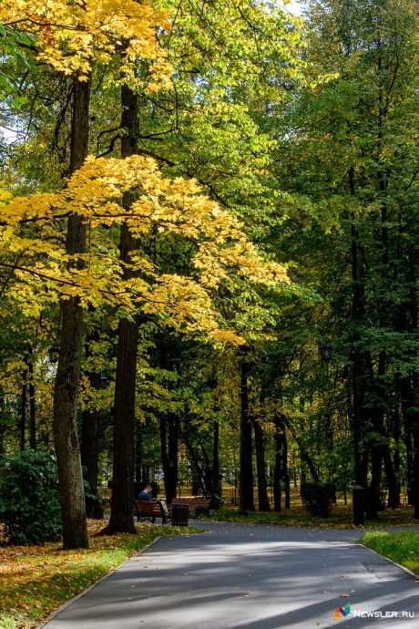 В Кирове продолжается создание сквера на улице Риммы Юровской В Кирове продолжается создание сквера на улице Риммы Юровской