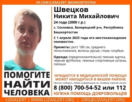 В Башкирии пройдут масштабные поиски бесследно пропавшего Никиты Швецкова