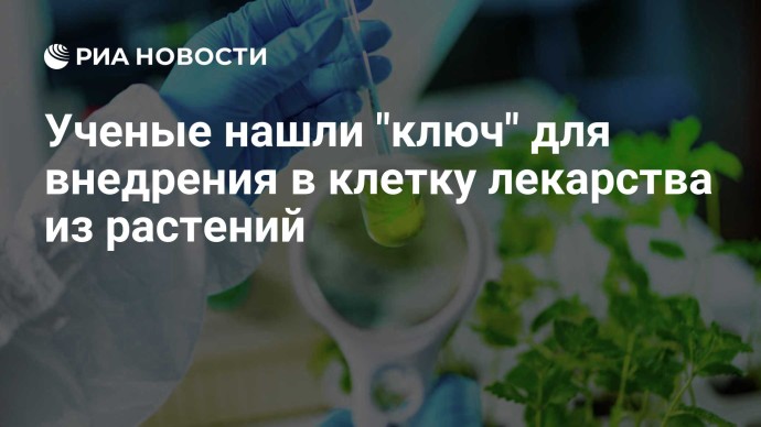 Ученые нашли "ключ" для внедрения в клетку лекарства из растений Ученые нашли "ключ" для внедрения в клетку лекарства из растений