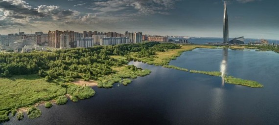 35 лет Юнтоловскому заказнику – первой заповедной территории в Петербурге
