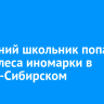 11-летний школьник попал под колеса иномарки в Усолье-Сибирском