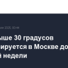 Жара выше 30 градусов прогнозируется в Москве до конца рабочей недели