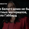 В чате Белого дома не было секретных материалов, заявила Габбард