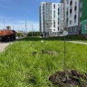 В Уфе появилась новая «Аллея Терры»