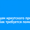 Питомцам иркутского приюта для собак требуется помощь