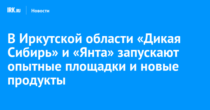 В Иркутской области «Дикая Сибирь» и «Янта» запускают опытные площадки и новые продукты