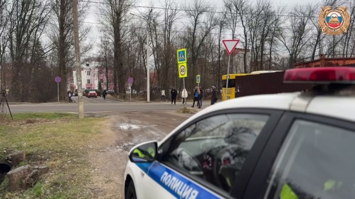 В Ярославской области с начала года зарегистрировали 225 ДТП с участием пешеходов