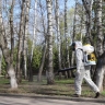 В парках Курска проводится обработка от клещей