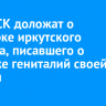 Главе СК доложат о проверке иркутского блогера, писавшего о массаже гениталий своей дочери