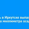 Улицы, парки и скверы Иркутска очищают от снега