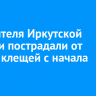 134 жителя Иркутской области пострадали от укусов клещей с начала сезона