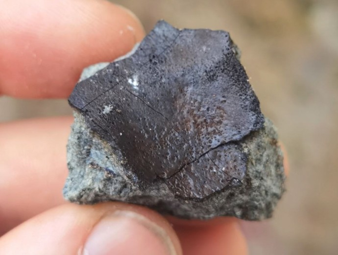 Условное название пролетевшего метеорита связали с Новгородской областью