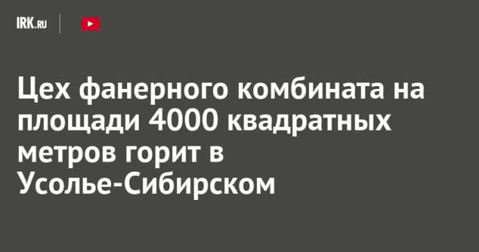 Цех фанерного комбината на площади 4000 квадратных метров горит в Усолье-Сибирском