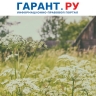 Россельхознадзор напомнил о правилах борьбы с борщевиком