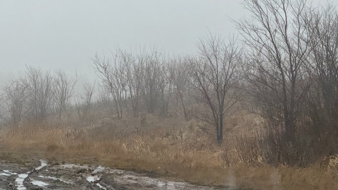 В Башкирии предупредили о погодных аномалиях