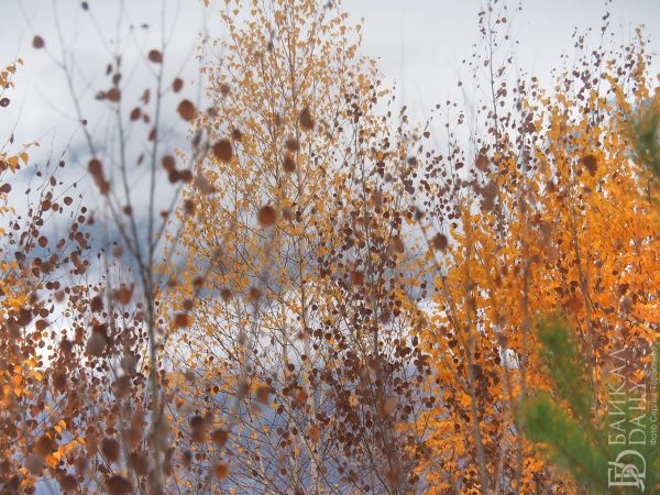 Местами по Бурятии мокрый снег Местами по Бурятии мокрый снег